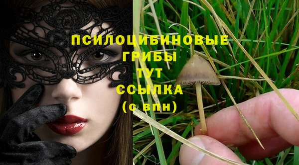 стафф Карпинск