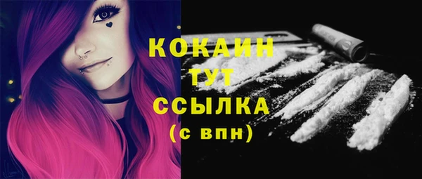 эйфоретик Каменногорск