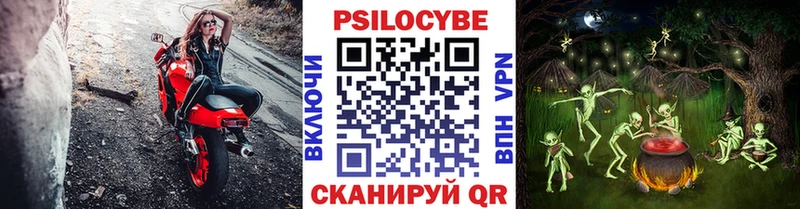 Псилоцибиновые грибы Magic Shrooms Ахтубинск