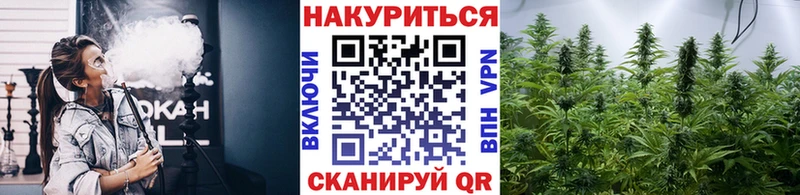 Марихуана тримм  Купить где  Ахтубинск 